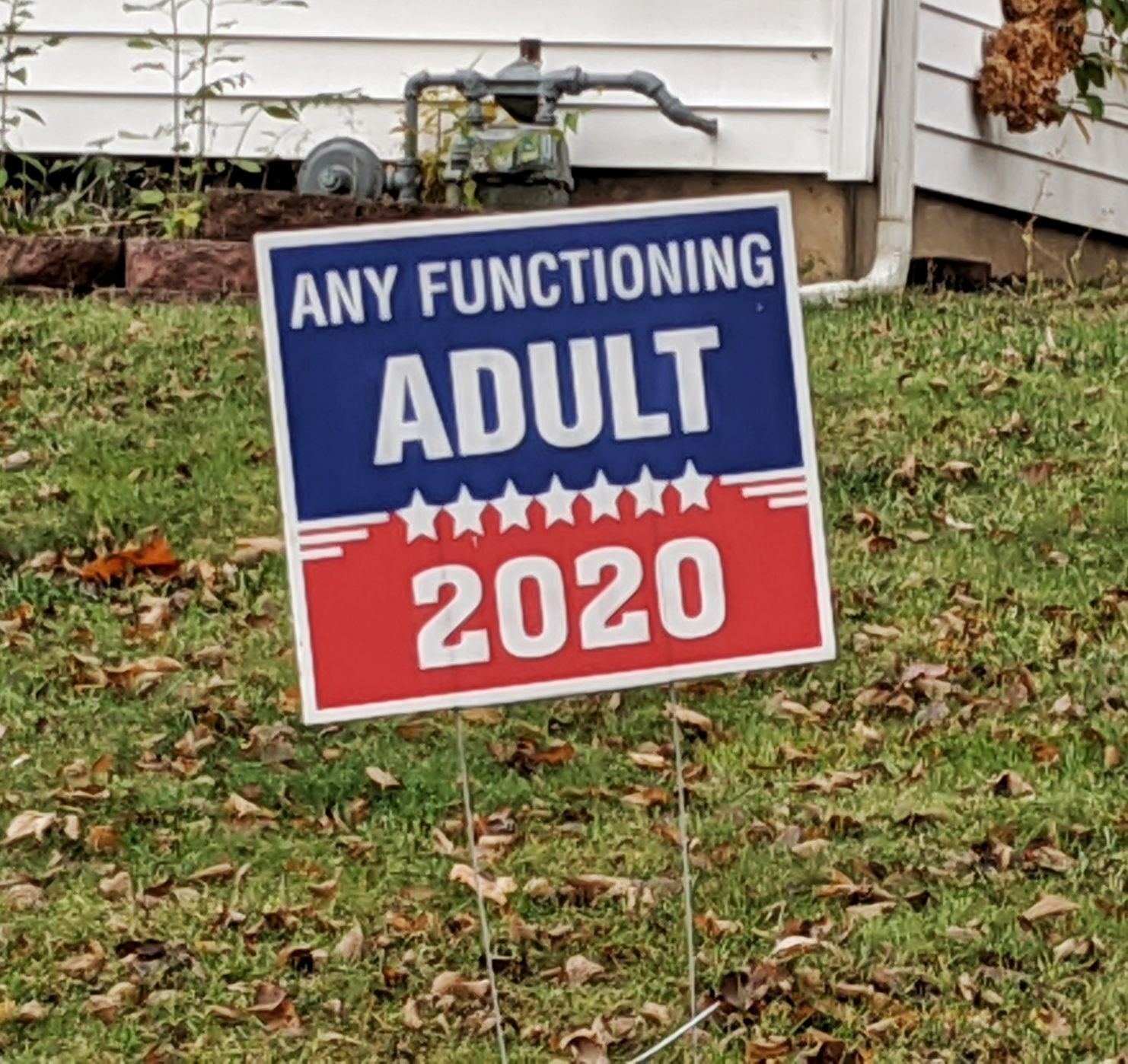 Any Functioning Adult 2020
